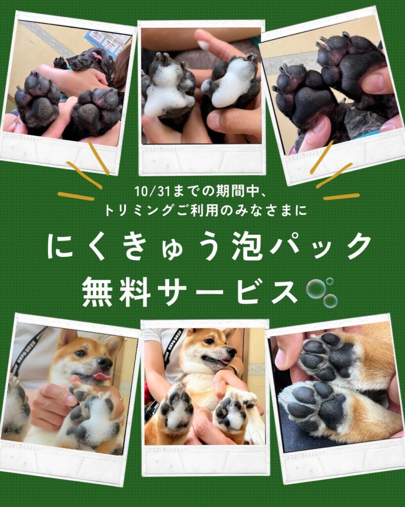 にくきゅう泡パック無料サービス